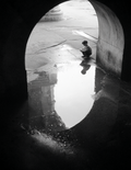 Reflecting in Solitude