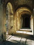 Corridor Shadows